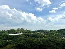 Blk 64 Marine Drive Gardens (Marine Parade), HDB 3 Rooms #588606661